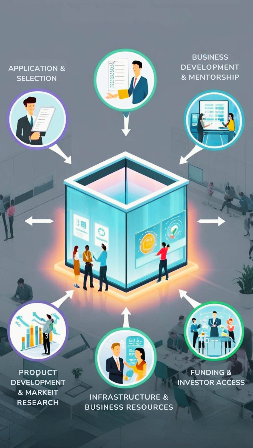 How Our Incubation Program Works