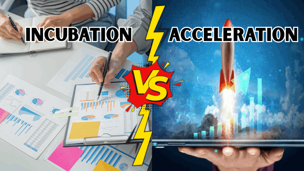 _Incubation vs. Acceleration